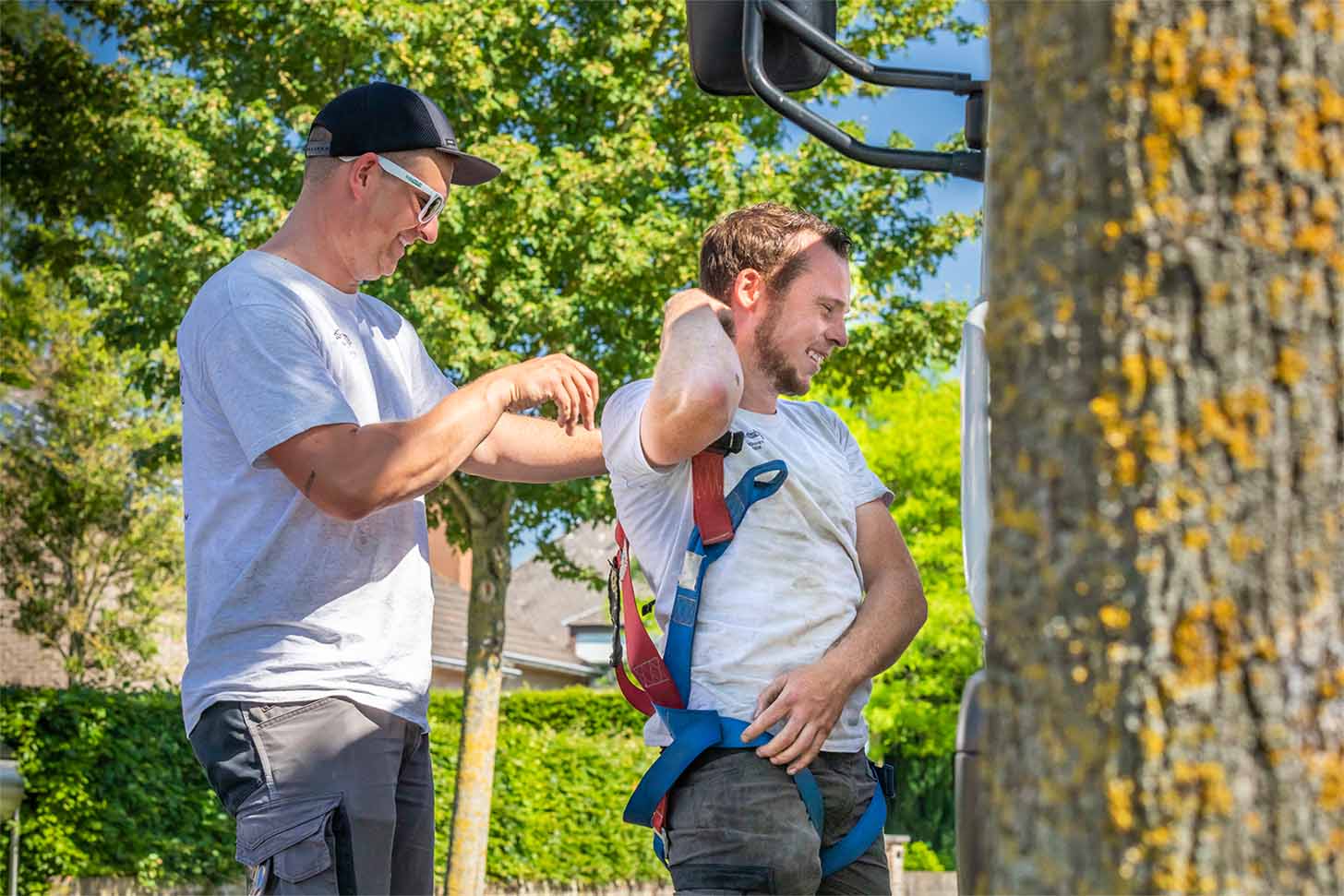 dak reinigen en ontmossen dak reinigen en ontmossen