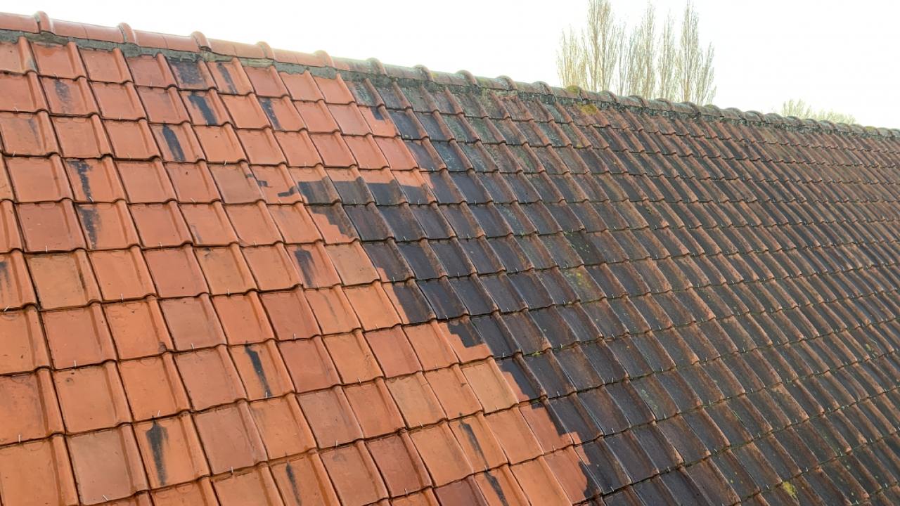 dakpannen ontmossen dakpannen ontmossen