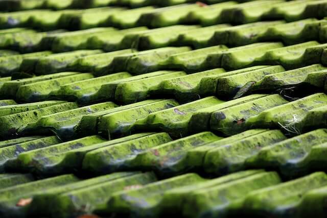 mos-groene-aanslag (1) groene aanslag daken 1